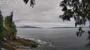 ./images/koeye/fitz-hugh/20250513/fitz-hugh20250513_104509M.jpg
