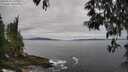 ./images/koeye/fitz-hugh/20250513/fitz-hugh20250513_105011M.jpg