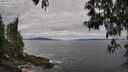 ./images/koeye/fitz-hugh/20250513/fitz-hugh20250513_110011M.jpg