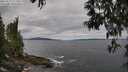 ./images/koeye/fitz-hugh/20250513/fitz-hugh20250513_111010M.jpg