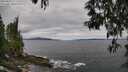 ./images/koeye/fitz-hugh/20250513/fitz-hugh20250513_111510M.jpg