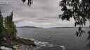 ./images/koeye/fitz-hugh/20250513/fitz-hugh20250513_112510M.jpg