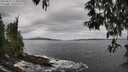 ./images/koeye/fitz-hugh/20250513/fitz-hugh20250513_114010M.jpg