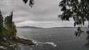 ./images/koeye/fitz-hugh/20250513/fitz-hugh20250513_115507M.jpg