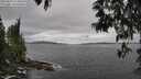 ./images/koeye/fitz-hugh/20250513/fitz-hugh20250513_124010M.jpg