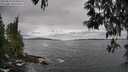 ./images/koeye/fitz-hugh/20250513/fitz-hugh20250513_125009M.jpg