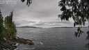 ./images/koeye/fitz-hugh/20250513/fitz-hugh20250513_125510M.jpg