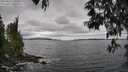 ./images/koeye/fitz-hugh/20250513/fitz-hugh20250513_130510M.jpg