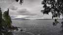 ./images/koeye/fitz-hugh/20250513/fitz-hugh20250513_131009M.jpg