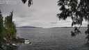 ./images/koeye/fitz-hugh/20250513/fitz-hugh20250513_133509M.jpg
