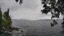 ./images/koeye/fitz-hugh/20250513/fitz-hugh20250513_134509M.jpg