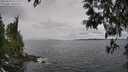./images/koeye/fitz-hugh/20250513/fitz-hugh20250513_135510M.jpg