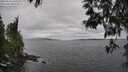 ./images/koeye/fitz-hugh/20250513/fitz-hugh20250513_140510M.jpg