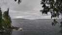./images/koeye/fitz-hugh/20250513/fitz-hugh20250513_141010M.jpg