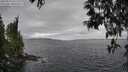 ./images/koeye/fitz-hugh/20250513/fitz-hugh20250513_141511M.jpg