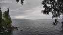 ./images/koeye/fitz-hugh/20250513/fitz-hugh20250513_142510M.jpg