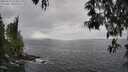./images/koeye/fitz-hugh/20250513/fitz-hugh20250513_143011M.jpg