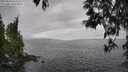 ./images/koeye/fitz-hugh/20250513/fitz-hugh20250513_143510M.jpg