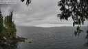 ./images/koeye/fitz-hugh/20250513/fitz-hugh20250513_144511M.jpg