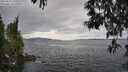 ./images/koeye/fitz-hugh/20250513/fitz-hugh20250513_150509M.jpg