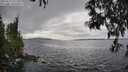 ./images/koeye/fitz-hugh/20250513/fitz-hugh20250513_151508M.jpg