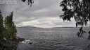 ./images/koeye/fitz-hugh/20250513/fitz-hugh20250513_152510M.jpg