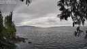 ./images/koeye/fitz-hugh/20250513/fitz-hugh20250513_153011M.jpg