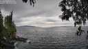 ./images/koeye/fitz-hugh/20250513/fitz-hugh20250513_153510M.jpg