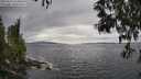 ./images/koeye/fitz-hugh/20250513/fitz-hugh20250513_154009M.jpg