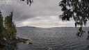 ./images/koeye/fitz-hugh/20250513/fitz-hugh20250513_154510M.jpg