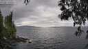 ./images/koeye/fitz-hugh/20250513/fitz-hugh20250513_155011M.jpg