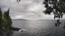 ./images/koeye/fitz-hugh/20250513/fitz-hugh20250513_155510M.jpg