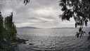 ./images/koeye/fitz-hugh/20250513/fitz-hugh20250513_160011M.jpg