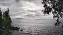 ./images/koeye/fitz-hugh/20250513/fitz-hugh20250513_160510M.jpg