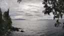 ./images/koeye/fitz-hugh/20250513/fitz-hugh20250513_161010M.jpg