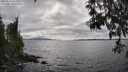 ./images/koeye/fitz-hugh/20250513/fitz-hugh20250513_162010M.jpg