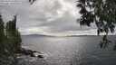 ./images/koeye/fitz-hugh/20250513/fitz-hugh20250513_163010M.jpg