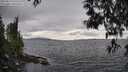 ./images/koeye/fitz-hugh/20250513/fitz-hugh20250513_165510M.jpg