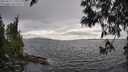 ./images/koeye/fitz-hugh/20250513/fitz-hugh20250513_170510M.jpg