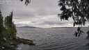 ./images/koeye/fitz-hugh/20250513/fitz-hugh20250513_172011M.jpg