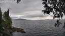 ./images/koeye/fitz-hugh/20250513/fitz-hugh20250513_172509M.jpg