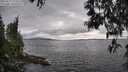 ./images/koeye/fitz-hugh/20250513/fitz-hugh20250513_173011M.jpg