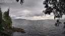 ./images/koeye/fitz-hugh/20250513/fitz-hugh20250513_173510M.jpg