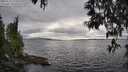 ./images/koeye/fitz-hugh/20250513/fitz-hugh20250513_175011M.jpg