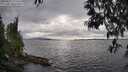 ./images/koeye/fitz-hugh/20250513/fitz-hugh20250513_175510M.jpg