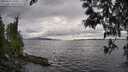 ./images/koeye/fitz-hugh/20250513/fitz-hugh20250513_180012M.jpg