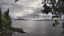 ./images/koeye/fitz-hugh/20250513/fitz-hugh20250513_181009M.jpg