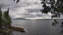 ./images/koeye/fitz-hugh/20250513/fitz-hugh20250513_181510M.jpg
