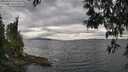 ./images/koeye/fitz-hugh/20250513/fitz-hugh20250513_182510M.jpg
