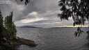 ./images/koeye/fitz-hugh/20250513/fitz-hugh20250513_190506M.jpg